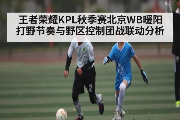 王者荣耀KPL秋季赛北京WB暖阳打野节奏与野区控制团战联动分析